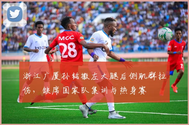 浙江广厦孙铭徽左大腿后侧肌群拉伤，缺席国家队集训与热身赛